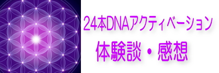 24本DNAアクティベーション　体験談・感想